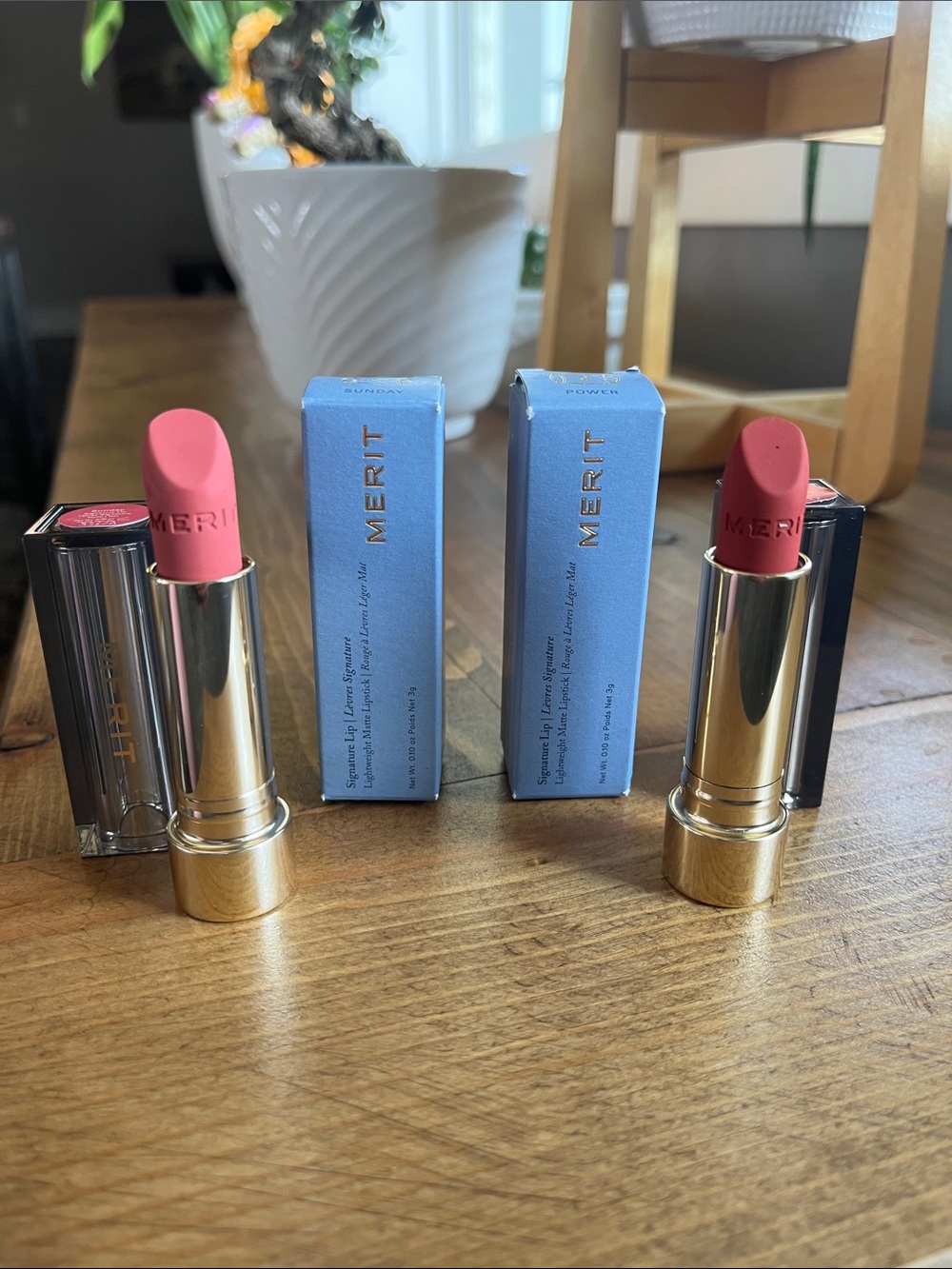 Merit Lipstick Bundle - Sunday & Power